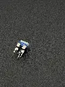 IMG_2415.webp