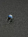 IMG_2414.webp