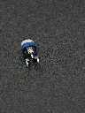 IMG_2413.webp