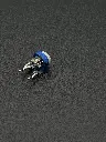IMG_2420.webp
