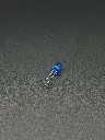 IMG_2829.webp