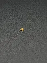 IMG_2842.webp