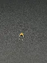 IMG_2841.webp