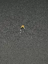 IMG_2840.webp