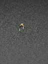 IMG_2846.webp