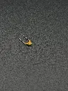IMG_2853.webp