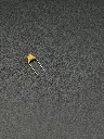 IMG_2854.webp