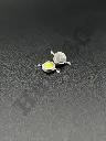 EOHE0185.webp