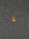 IMG_3699.webp