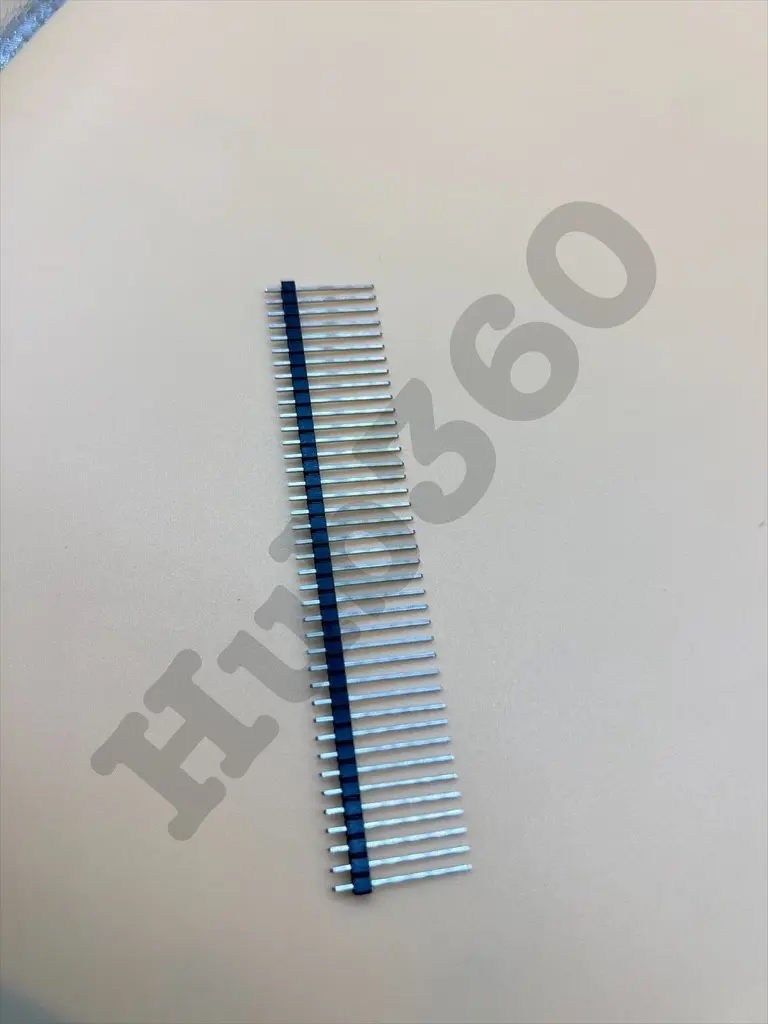 DVPJ8982.webp