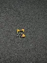 IMG_5167.webp