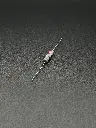 IMG_1585.webp