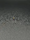 IMG_1612.webp
