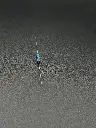 IMG_1623.webp