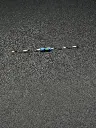 IMG_1735.webp