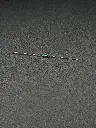 IMG_1745.webp