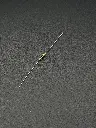 IMG_1757.webp