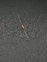 IMG_1761.webp