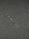 IMG_1767.webp
