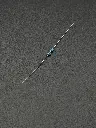 IMG_1774.webp
