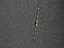 IMG_1807.webp