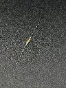 IMG_1826.webp