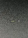 IMG_1827.webp