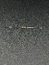 IMG_1831.webp