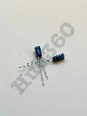 NNLV7153.webp