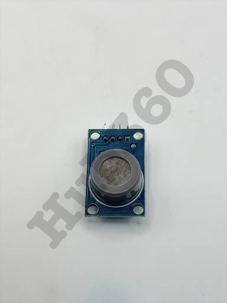 TFOD9129.webp