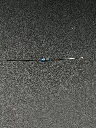 IMG_1856.webp
