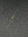IMG_1871.webp