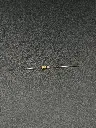 IMG_1872.webp