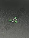 KPSN4314.webp