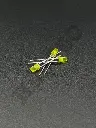 BXTQ2773.webp