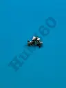 UFRN8695.webp