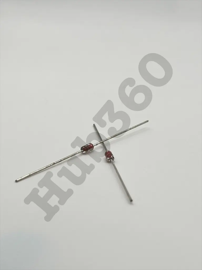 XCPC9941.webp