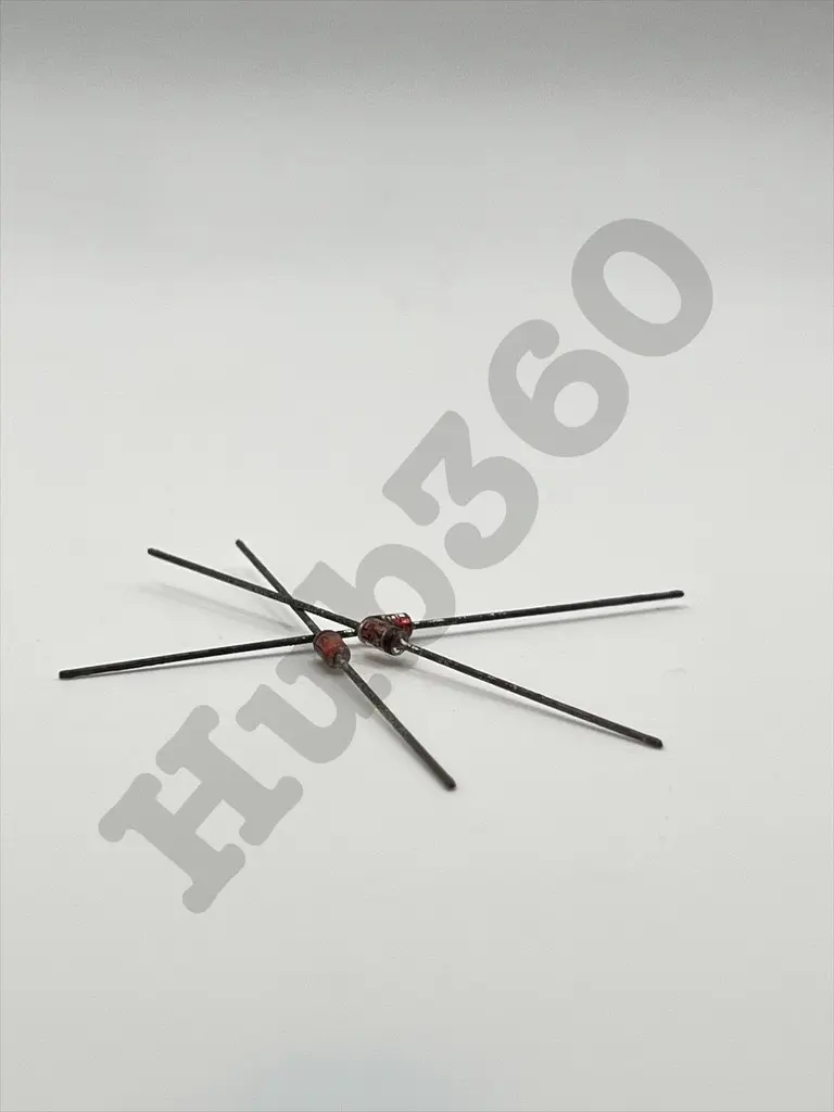 WHIP4137.webp