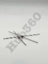 WHIP4137.webp