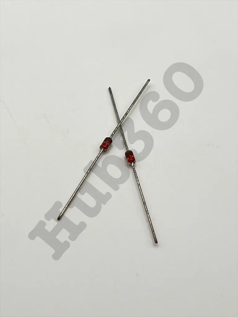 XMQE5859.webp