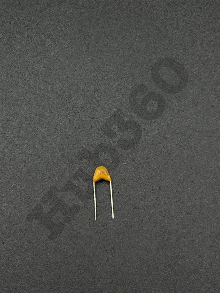 YJSG4599.webp