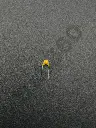 RNCB8259.webp