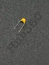 CCNG7079.webp