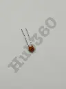RZPT5581.webp