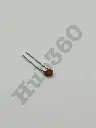 WEXV4999.webp