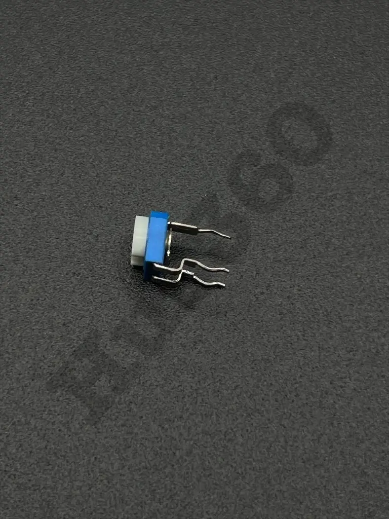 GLLF0426.webp