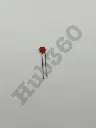 BXQV0536.webp
