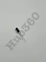 UDGN8168.webp