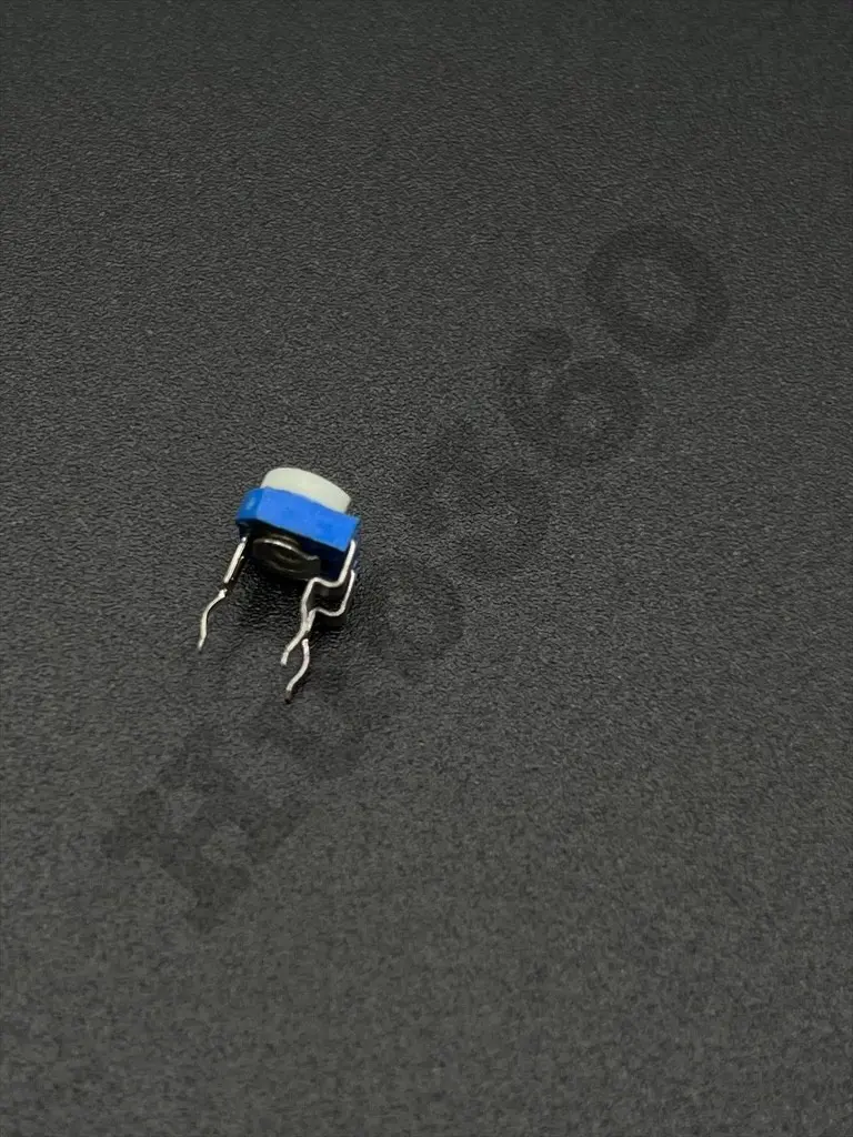 DGDZ2355.webp
