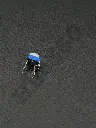 DGDZ2355.webp